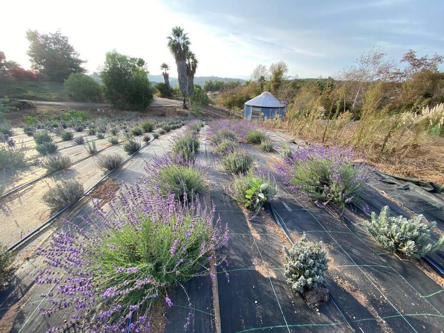 Glamping-Sky Dome Yurt-Tiny House-2 By Lavenders Field Villa Valley Center Exterior photo